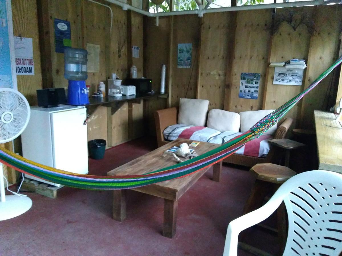 Placencia Hostel 外观 照片